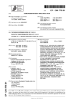 The High Bone Mass Gene of 11Q13.3