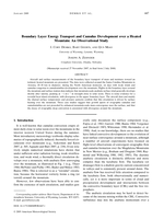 Boundary Layer Energy Transport and Cumulus Development over a Heated Mountain: An Observational Study