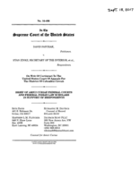 Patchak v. Zinke - Brief of amici curiae Federal Courts and Federal Indian Law Scholars in support of respondents