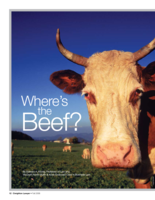 Where's the beef?