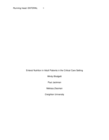 Enteral Nutrition in Adult Patients in the Critical Care Patients