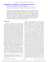 Aggregation of polyalanine in a hydrophobic environment