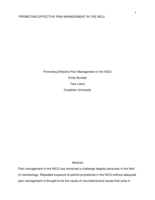 Promoting Effective Pain Management in the NICU