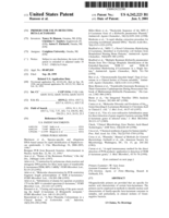 Primers for Use in Detecting Beta-Lactamases