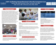Facilitating Interprofessional and Culturally-Competent Patient Care (poster 3)
