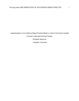 Implementation of an Evidence-Based Practice Model in a Rural Community Hospital:  A Guide to Neonatal Nursing Practice