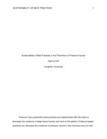 Sustainability of Best Practices in the Prevention of Pressure Injuries